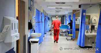 How North Wales Tory MPs voted on bids to protect NHS and stop 'chlorine-washed' chicken - North Wales Live