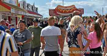 Beaches and beer gardens packed in Wales as Sunday sunshine brings public back outdoors in droves - WalesOnline