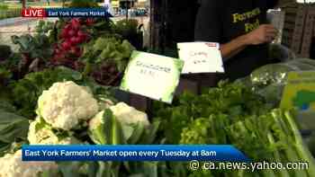 East York Farmers’ Market reopens - Yahoo News Canada
