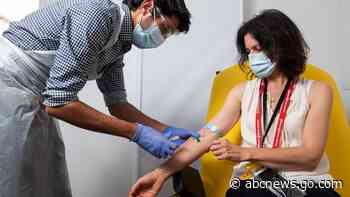 UK coronavirus vaccine prompts immune response in early test