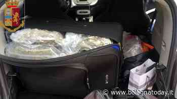 Blitz della Squadra Mobile, 56 kg di erba e 60mila euro in contanti: quattro in galera - BolognaToday