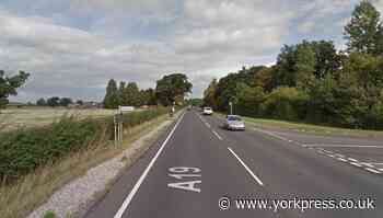 York man killed in collision with van on A19