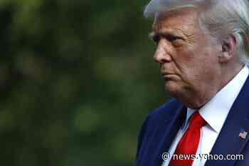 Column: Why is President Trump so proud of passing a test only those with dementia fail?