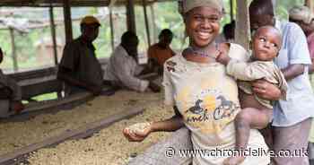 ADVERTORIAL: Businesses overseas are being offered help to recover from Covid-19