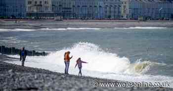 English family cut short holiday in 'zombie apocalypse' Welsh seaside resort