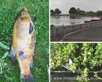 Ramsbottom Angling Association coach's shock as animals 'shot'