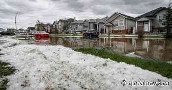 Victims of Calgary hailstorm launch convoy to Edmonton to demand provincial aid