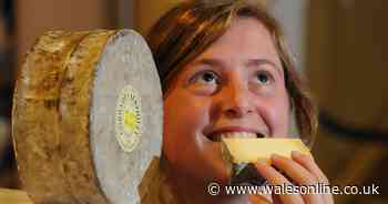 Welsh events you can attend virtually this summer