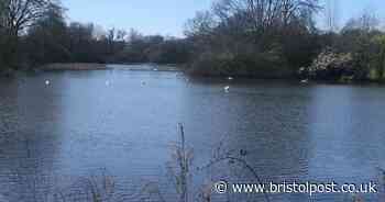 Firearm retrieved from lake in police operation