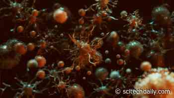 Ultra-Small, Parasitic Bacteria Found in Groundwater, Dogs, Cats — And You