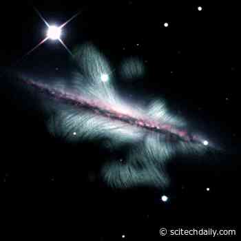 New Cosmic Magnetic Field Structures Discovered: Superbubbles, Giant Loops and X-shaped Fields