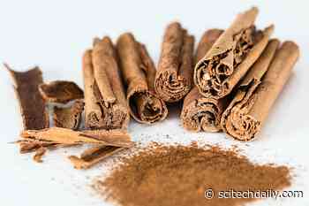 Cinnamon May Improve Blood Sugar Control in People With Prediabetes – Could Slow Progression to Type 2 Diabetes