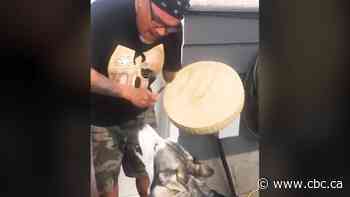 Little drummer dog: Timber the husky goes viral after 'singing' along to drum