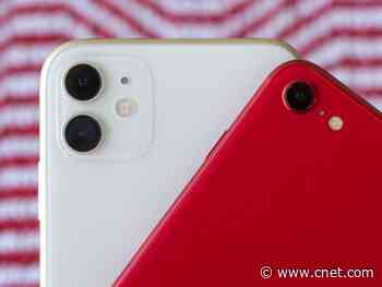 This year's iPhone Photography Award winners showcase 'powerful worldviews'     - CNET