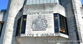 Parents' treatment of crying girl 'verged on sadistic'