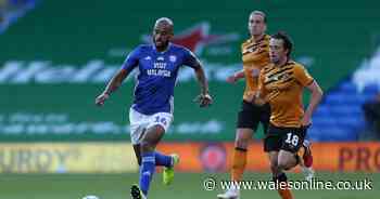 Cardiff City player ratings as Curtis Nelson shines against Hull City