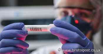 Coronavirus case rates in Bristol area remain among lowest in the country