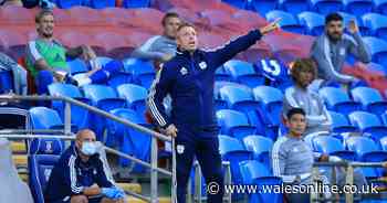 Cardiff City boss Neil Harris heaps 'huge pressure' on big-spenders Fulham