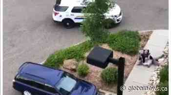 ASIRT investigating after man suffers head wound during RCMP arrest