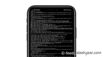 Apple’s special iPhone for hackers arrives, but you probably can’t get it