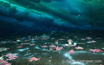 Antarctic methane is leaking and the climate change impact could be huge