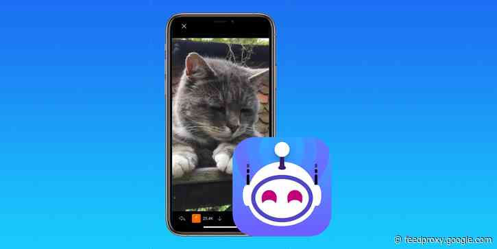 Apollo for Reddit developer launches third annual SPCA animal shelter fundraiser