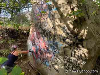 National Parks Are Getting Trashed During COVID-19, Endangering Surrounding Communities
