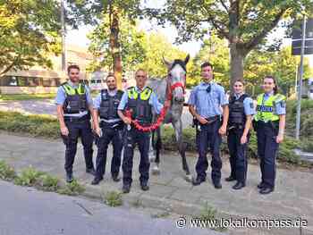 Beamte zeigen Kompetenzen als "Pferdeflüsterer": Tierische Einsätze für Hildener Polizei - Lokalkompass.de