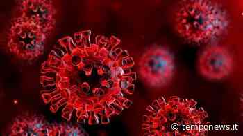Coronavirus, si allarga il focolaio di Castelnuovo Rangone: 71 i nuovi positivi in regione, di cui 21 nel modenese - Temponews - COOPERATIVA RADIO BRUNO srl
