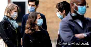 Coronavirus has ruined the great, orderly British queue