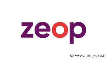 Zeop: Départ de Martin Vigneau et nomination de Wilfried Gaillard à la direction technique - Megazap