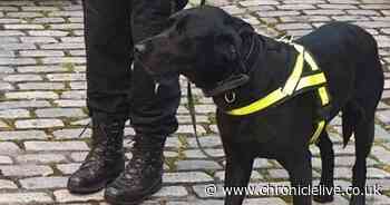 Cocaine seized in Durham city after stop searches carried out using sniffer dog