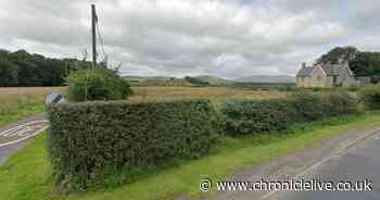 Plans for rural housing estate in Northumberland rejected on appeal