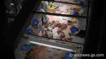 Outbreak at Iowa pork plant was larger than state reported