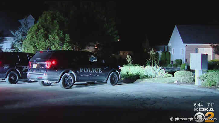 One Person Dead, Another Hospitalized In Domestic Incident In South Fayette Township