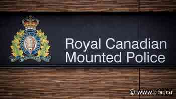 Two people killed in collision with moose near Conklin