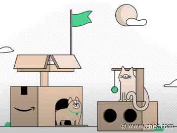 Amazon's new boxes can be transformed into cat condos and rocket ships     - CNET