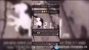 Teen receives 'numerous death threats' after video of cat getting dragged down Saskatoon sidewalk shared online