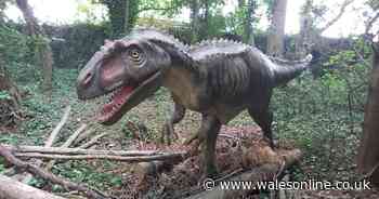 A dinosaur park has just opened at a Welsh castle