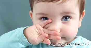 Public Health England's face mask warning to parents of toddlers