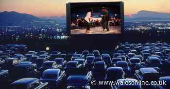 Street Food Circus to host drive-in cinema with awesome food