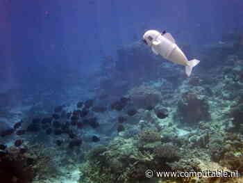Expo in Groningen zet ai in breed perspectief