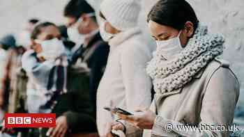Coronavirus: The great contact-tracing apps mystery