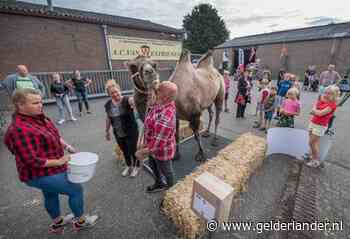 Even wegen: heeft Farah de kameel corona-kilo's?