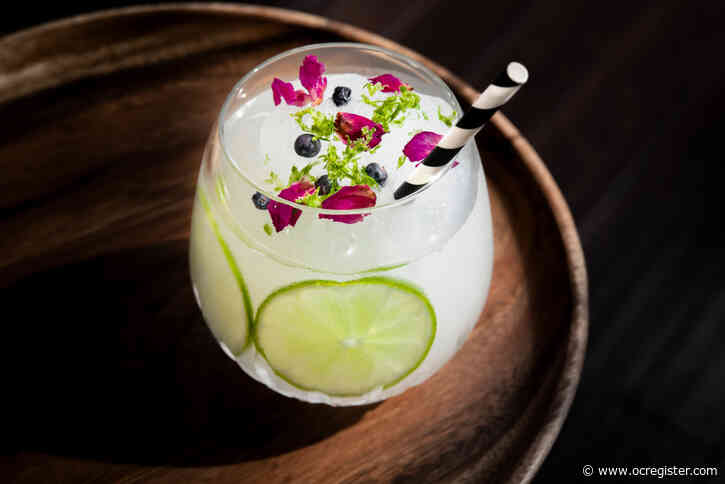 Recipe hack: How to make Vaca’s frozen gin and tonic at home
