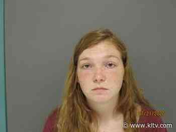 Houston County woman arrested after friend left in hot vehicle dies - KLTV