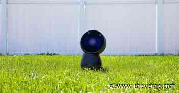 Jibo, the social robot that was supposed to die, is getting a second life