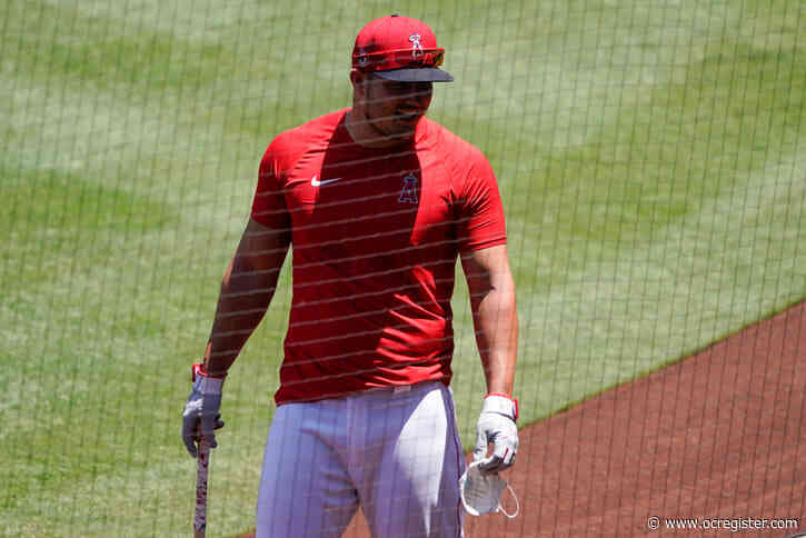 Angels have high expectations for 2020, despite the predictions