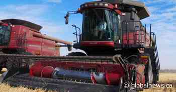 Saskatchewan crops advancing quickly, harvest to begin in the coming weeks