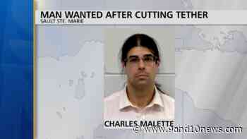 Sault Ste. Marie Police Arrest Man After Cutting Off Tether - 9 & 10 News - 9&10 News